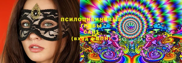 гидра Белокуриха