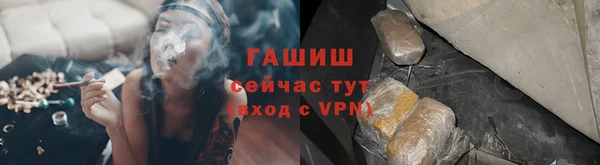 гидра Белокуриха