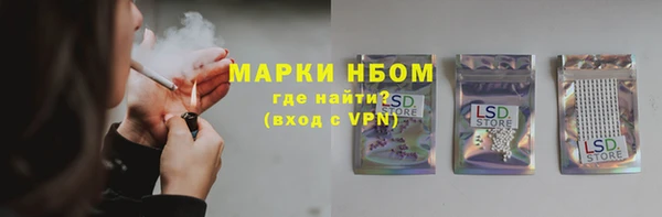 гидра Белокуриха