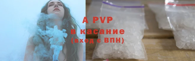 гидра Белокуриха
