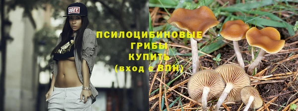 каннабис Беломорск