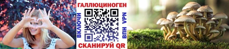 Псилоцибиновые грибы ЛСД  Купить где  Валдай 